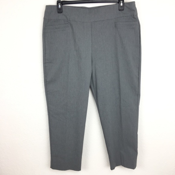 alfred dunner allure pants modern fit